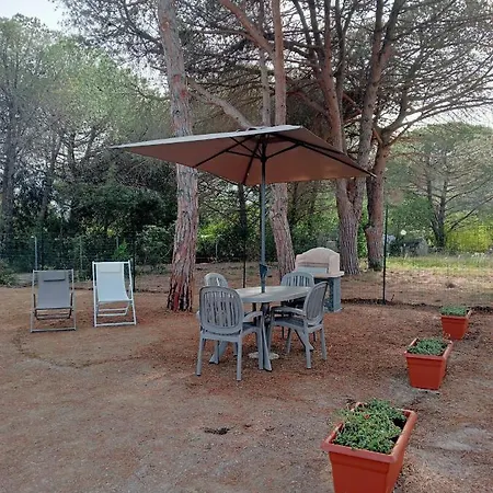 Holiday home Riccio Di Mare