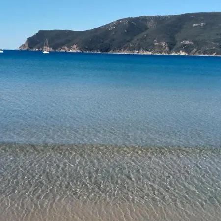 Riccio Di Mare