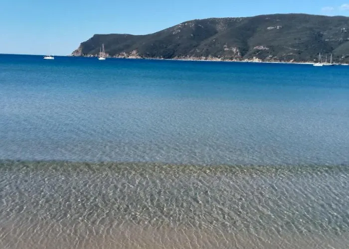 Riccio Di Mare